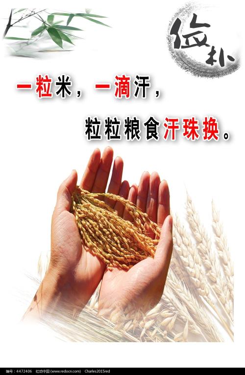 阿沙芬堡应用技术大学degree